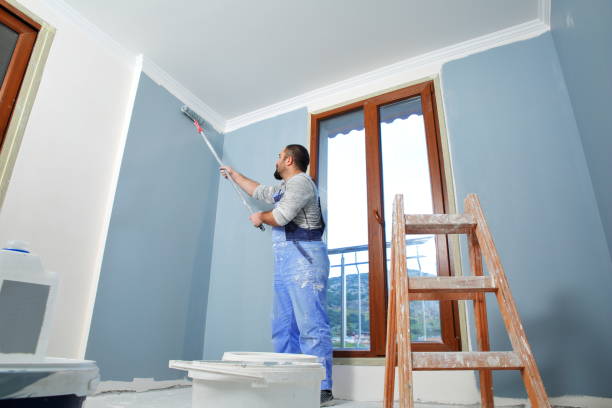 Mold Odor Removal Services in Rainsville, AL
