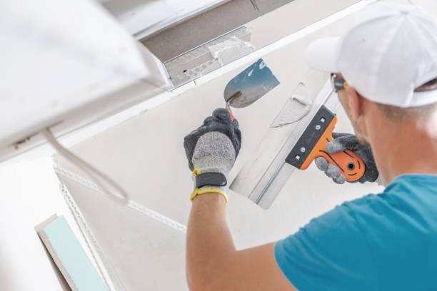 Best Water Damage & Mold Remediation  in Rainsville, AL